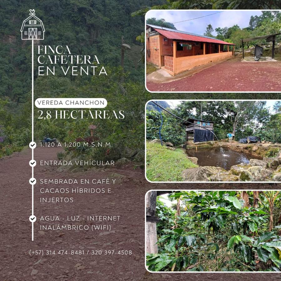 Foto Finca en Venta en San Vicente de Chucurí, Santander - $ 200.000.000 - FIV211450 - BienesOnLine