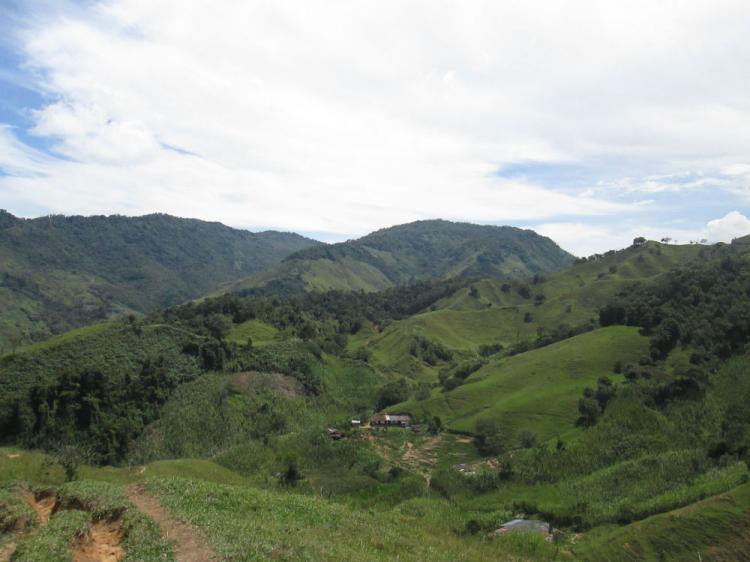 Finca de producción en venta- San Roque (Antioquia)