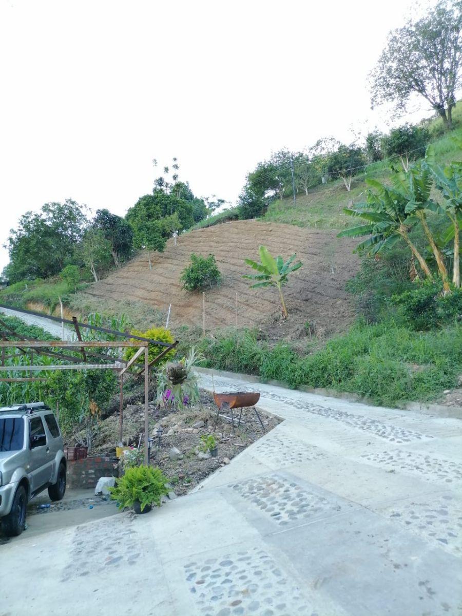 Foto Finca en Venta en vereda la puerta, Ansermanuevo, Valle del Cauca - $ 450.000.000 - FIV210890 - BienesOnLine