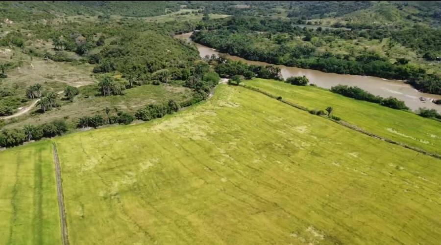 Foto Finca en Venta en Saldaña, Tolima - 219 hectareas - FIV64961 - BienesOnLine