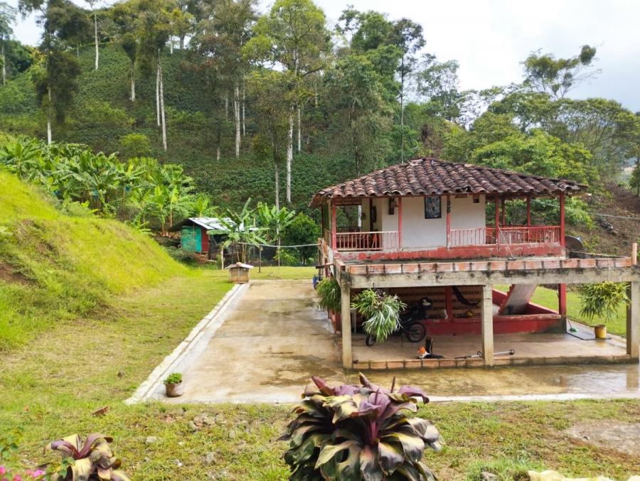 Foto Finca en Venta en Andes, Andes, Antioquia - $ 400.000.000 - FIV210307 - BienesOnLine