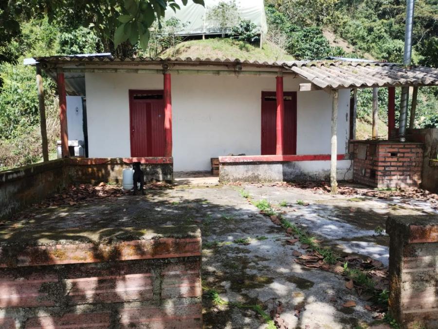 Foto Finca en Venta en Vereda el Choco, San Carlos, Antioquia - $ 350.000.000 - FIV209775 - BienesOnLine