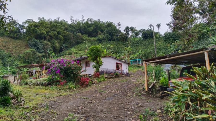 Foto Finca en Venta en Sasaima, Cundinamarca - $ 480.000.000 - FIV211087 - BienesOnLine