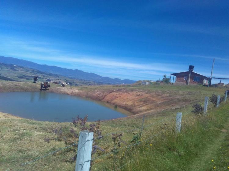 Finca en Toca (Boyacá) para cultivo