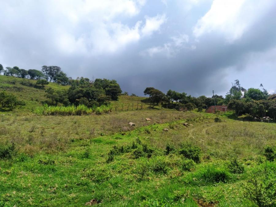 Foto Finca en Venta en Vereda Mone, cHIPAQUE, Cundinamarca - $ 200.000.000 - FIV203662 - BienesOnLine