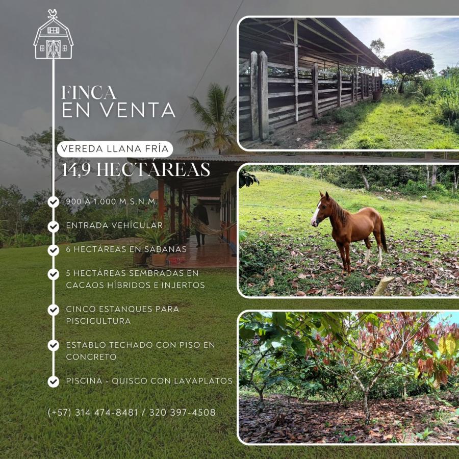 Finca en Venta, en San Vicente Chucurí (Santander)