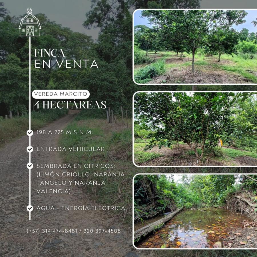 Finca en Venta, en San Vicente de Chucurí (Santander)