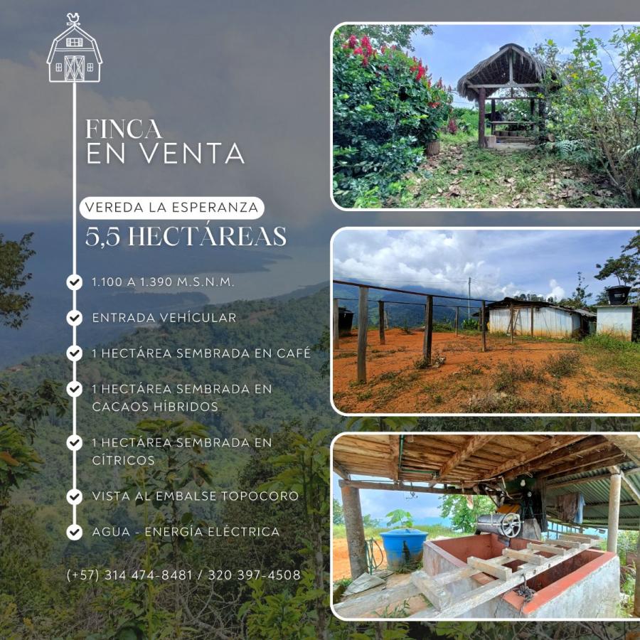 Finca en Venta, en San Vicente de Chucurí (Santander)