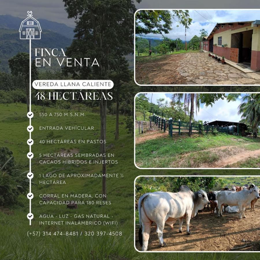 Foto Finca en Venta en San Vicente de Chucurí, Santander - $ 730.000.000 - FIV211426 - BienesOnLine