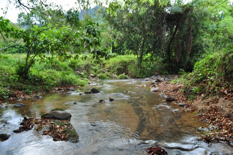 Foto Finca en Venta en Vereda Marcaibo, Florencia, Caquetá - $ 600.000.000 - FIV112393 - BienesOnLine