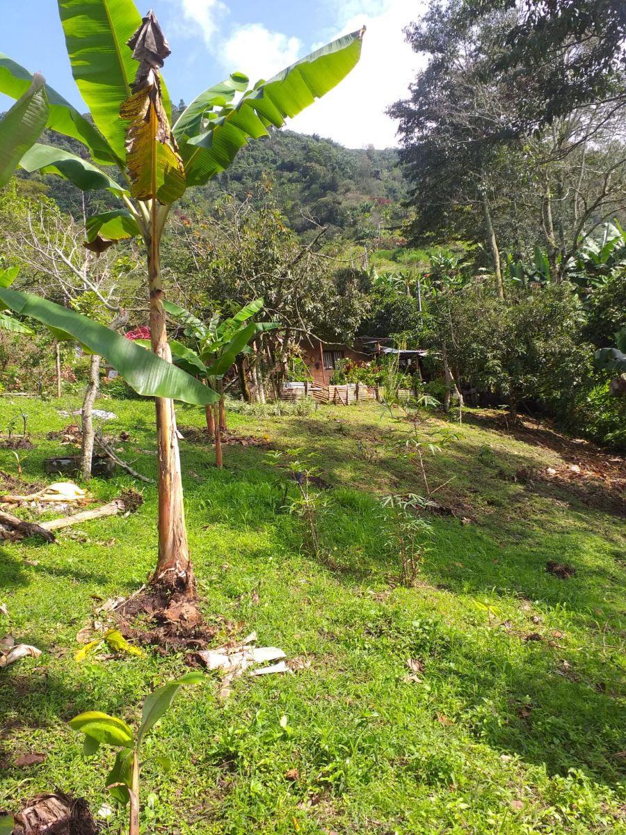 Foto Lote en Venta en Vereda cay, Ibagu, Tolima - $ 170.000.000 - LOV210094 - BienesOnLine