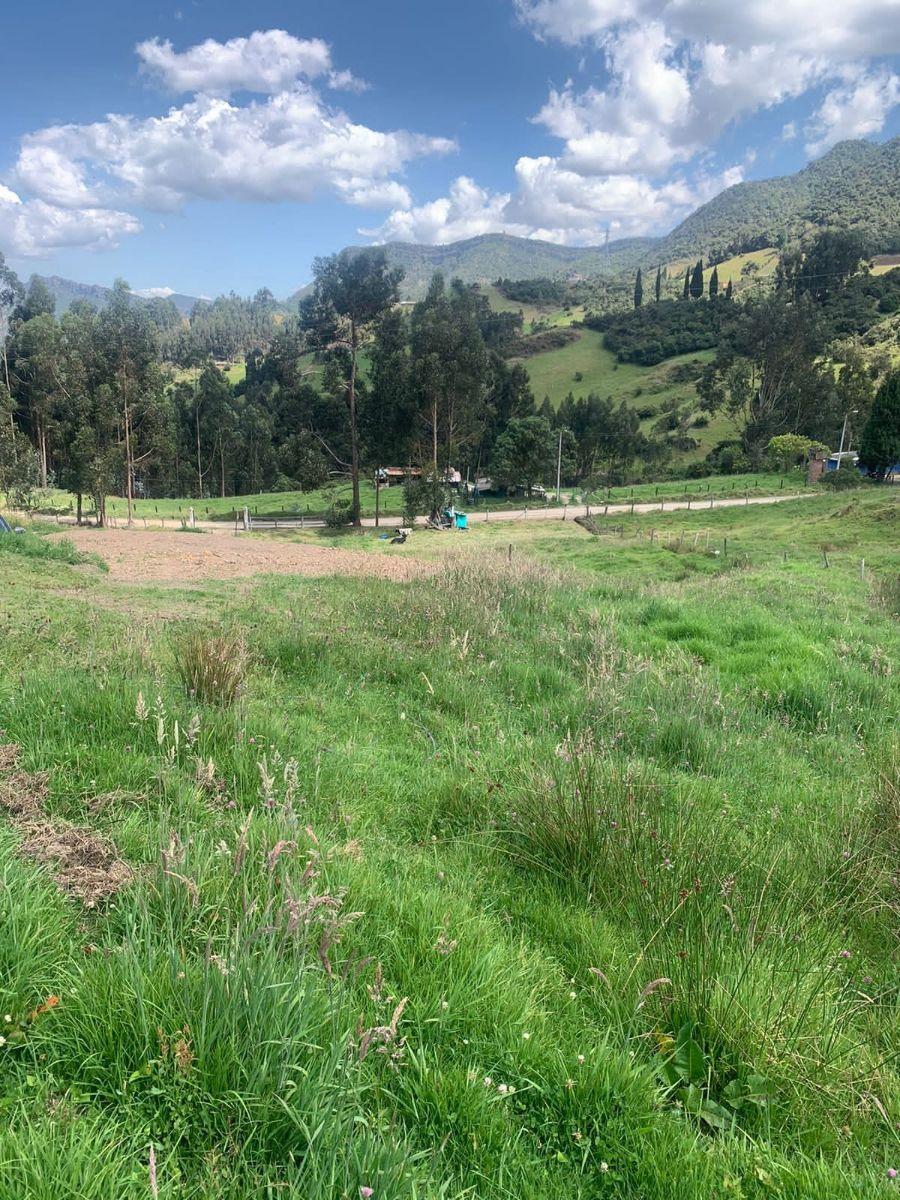 Foto Lote en Venta en Centro, Tausa, Cundinamarca - $ 340.000.000 - LOV210569 - BienesOnLine