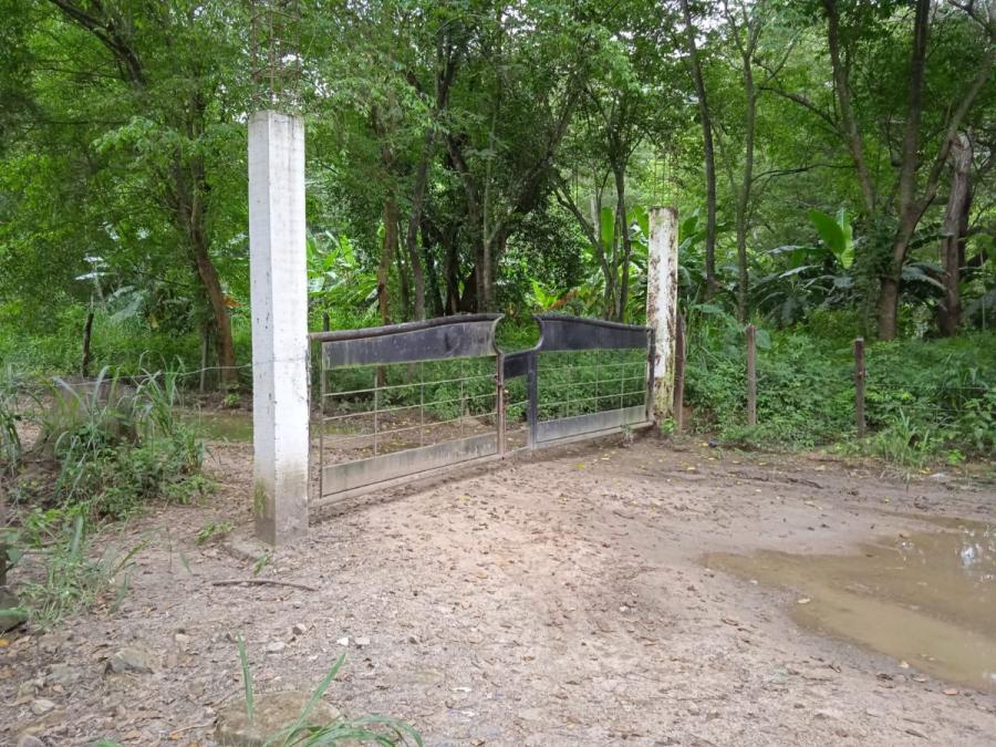 Foto Lote en Venta en el  paso, Carmen de Apicalá, Tolima - $ 50.000.000 - LOV200941 - BienesOnLine