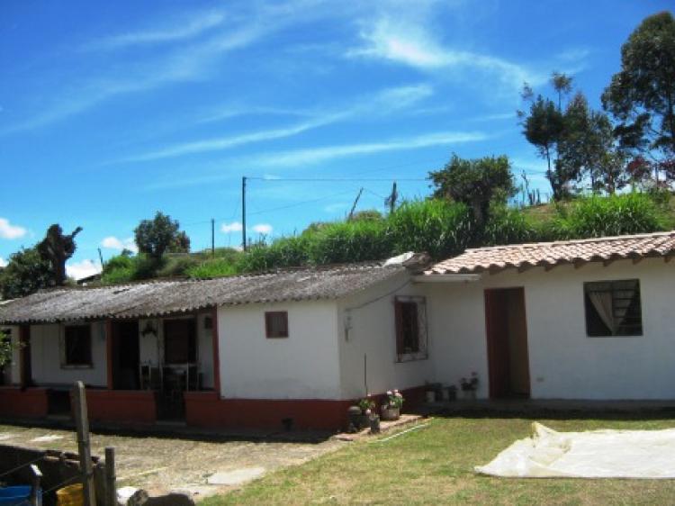 Finca de 3.5 cuadras con casa campesina