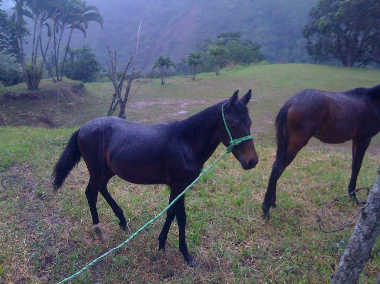 Venta de terreno en la parcelacion La Bonita