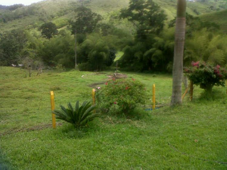 Foto Finca en Venta en salonica valle, Tuluá, Valle del Cauca - $ 180.000.000 - FIV42754 - BienesOnLine