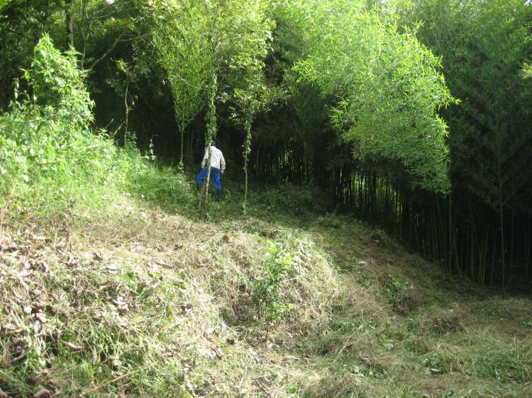 Vendo lote apto para  casa campestre  y sendero ecologico 