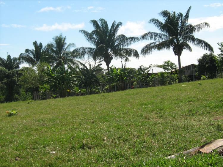 vendo finca en los llanos