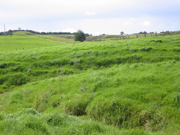 Vendo Finca Lechera Llanos de Cuiba - Santa Rosa de Osos