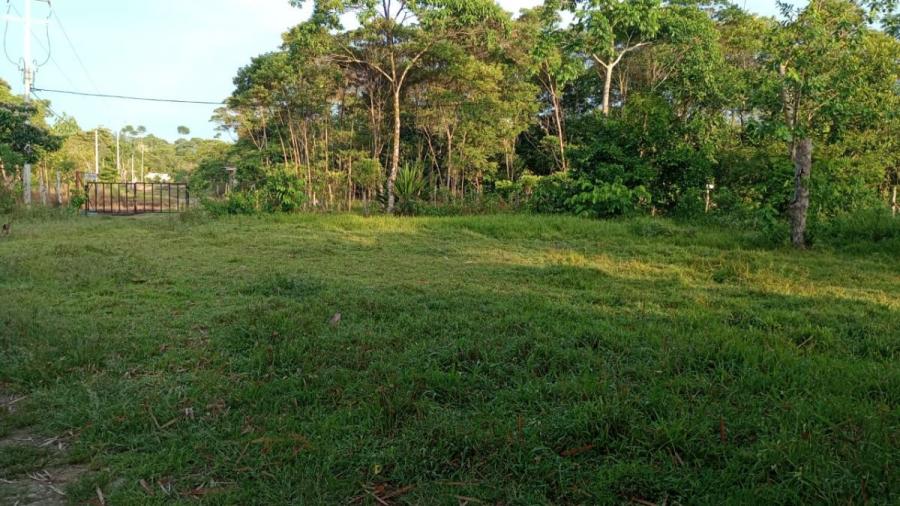 Foto Finca en Venta en cocaya, Puerto Asís, Putumayo - 10 hectareas - $ 1.200.000.000 - FIV205284 - BienesOnLine