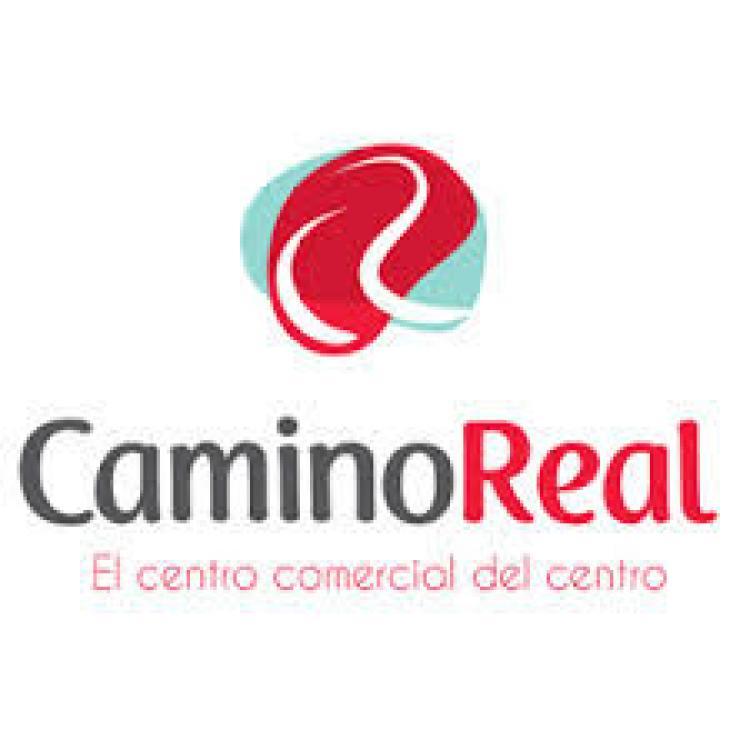 Local en Arriendo Centro Comercial Camino Real