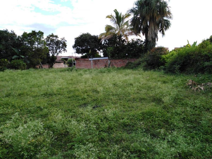 Foto Lote en Venta en Aguaclara, Tuluá, Valle del Cauca - $ 40 - LOV178112 - BienesOnLine