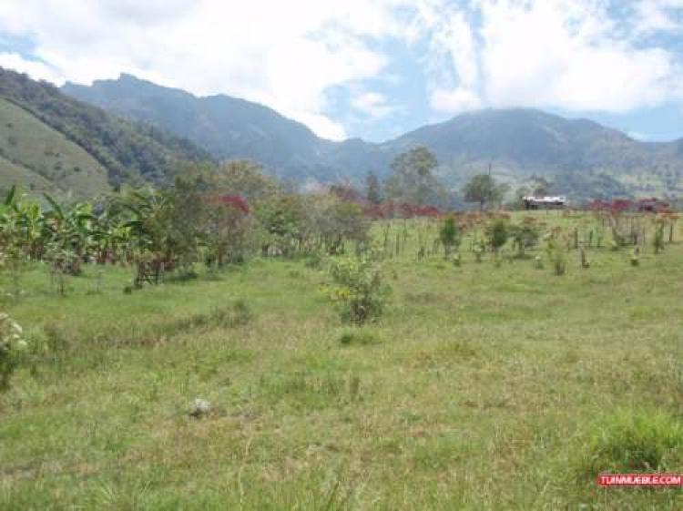 Foto Lote en Venta en La Vega, Cundinamarca - $ 210 - LOV20088 - BienesOnLine