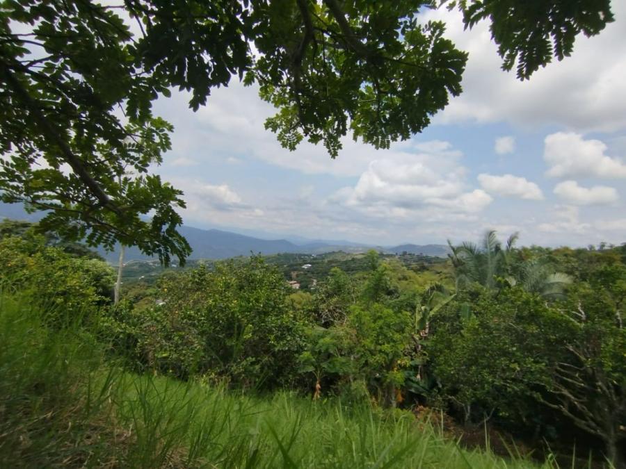 Foto Lote en Venta en La Mesa, Cundinamarca - $ 90.000.000 - LOV211712 - BienesOnLine