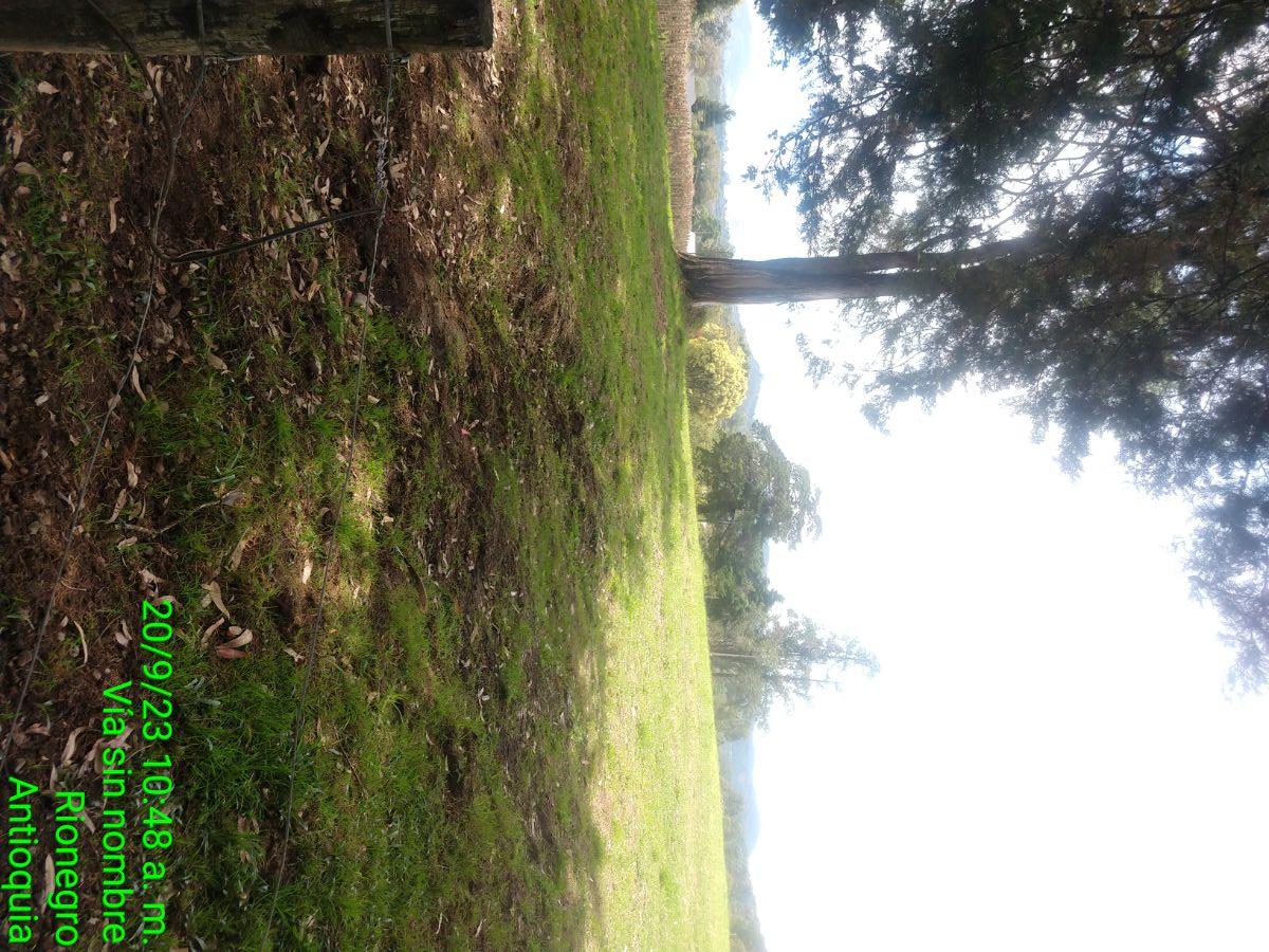 Foto Lote en Venta en El tablazo., Rionegro., Antioquia - 25 hectareas - $ 350.000 - LOV204944 - BienesOnLine