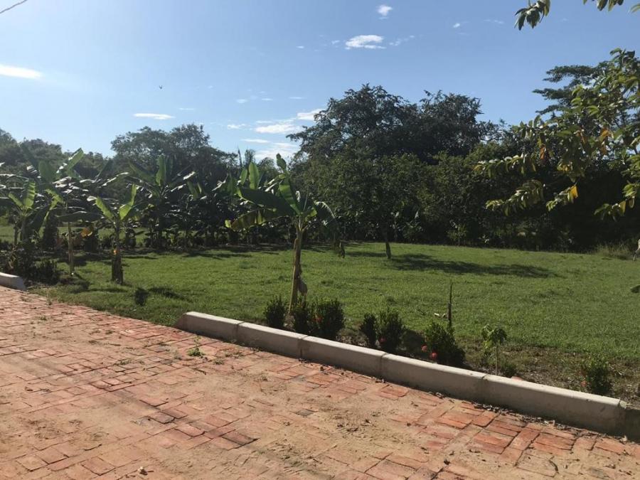 Foto Lote en Venta en Verde campo, Carmen de apicala, Tolima - $ 98.000.000 - LOV209501 - BienesOnLine