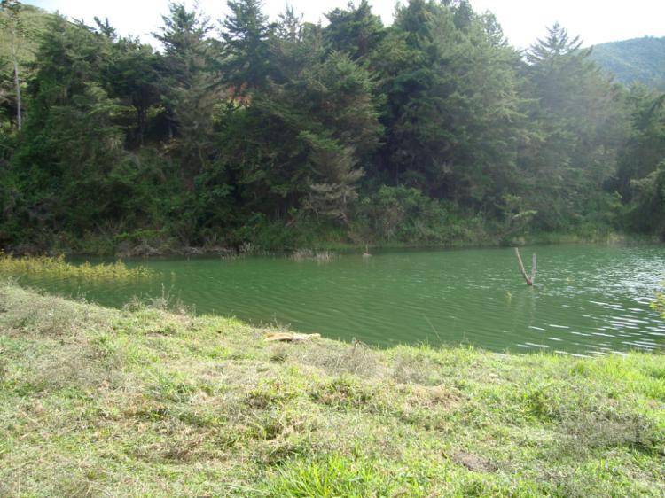 LOTE EN EL LAGO CALIMA