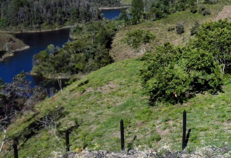 Lote en El Peñol, Vereda El Marial, El Peñol, Antioquia, Embalse, a 500 metros Piedra del Marial