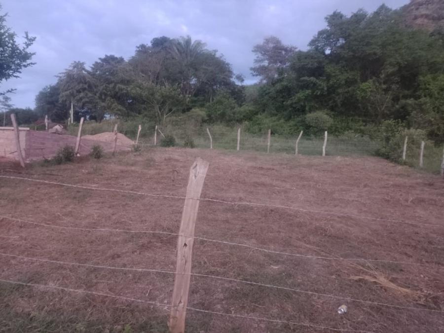 Foto Lote en Venta en Chocoamiro, Carmen de apicala, Tolima - $ 50.000.000 - LOV208755 - BienesOnLine