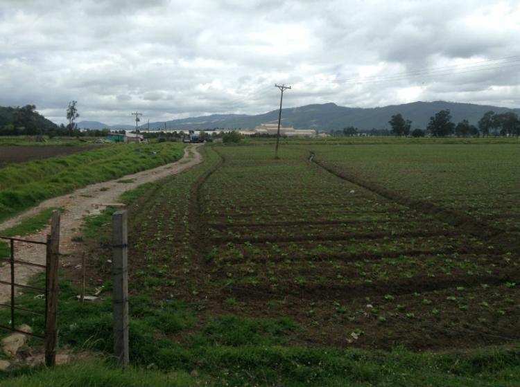 Foto Lote en Venta en vereda Tibitoc, , Cundinamarca - 7 hectareas - $ 14.012.200.000 - LOV69901 - BienesOnLine