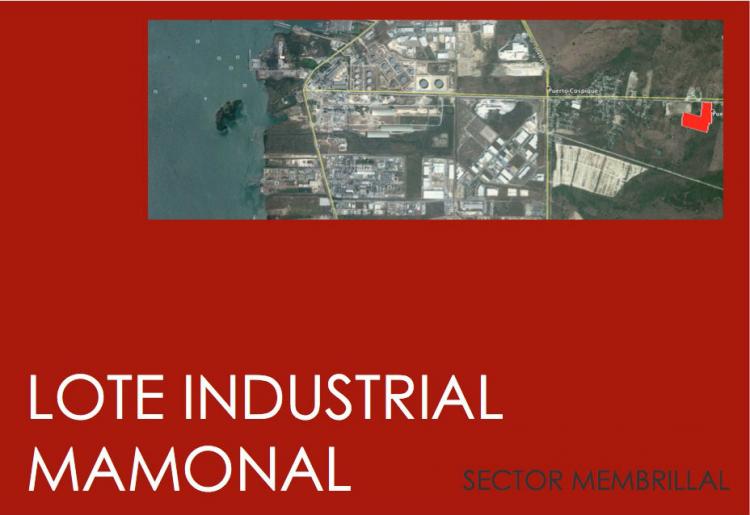 LOTE INDUSTRIAL MAMONAL SECTOR MEMBRILLAL