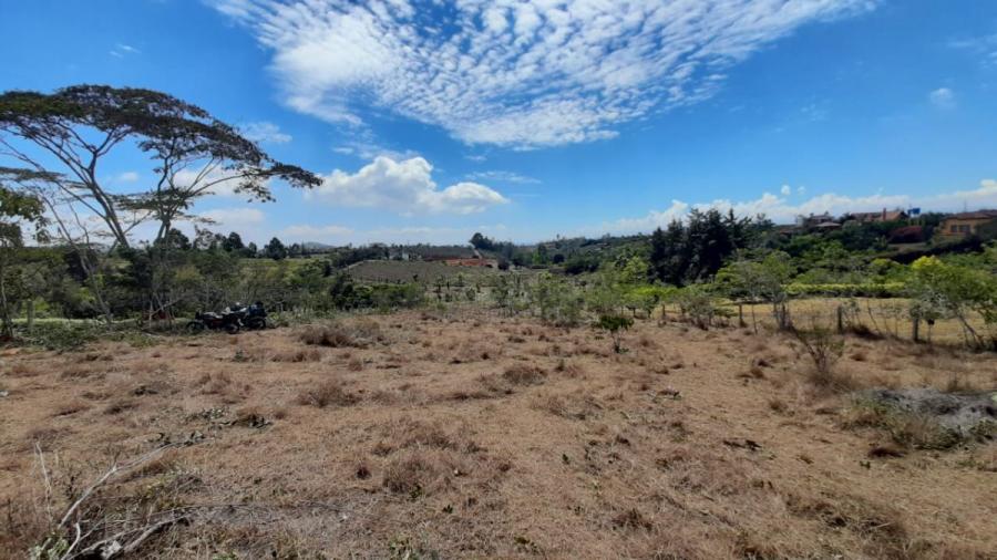 Foto Lote en Venta en El Tabacal, Mesa de los Santos, Santander - LOV209407 - BienesOnLine