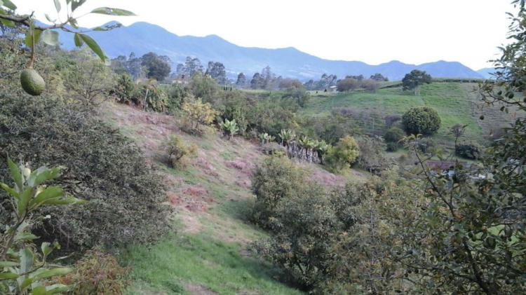 Lotes en Carmen De Viboral, Vereda Samaria