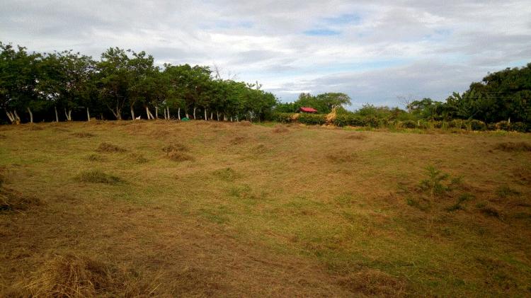 Ofrezco lote en venta a 55 minutos de Ibagué, área 2990 m2