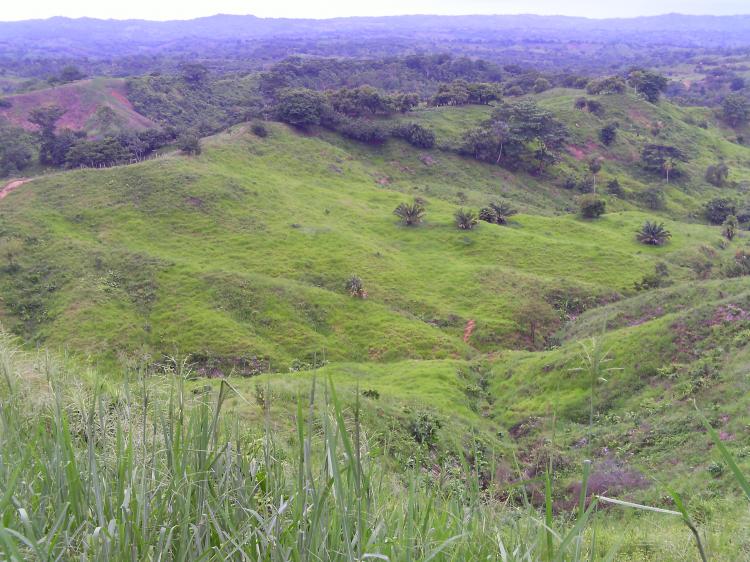 FINCA GANADERA DE 200 HECTAREAS