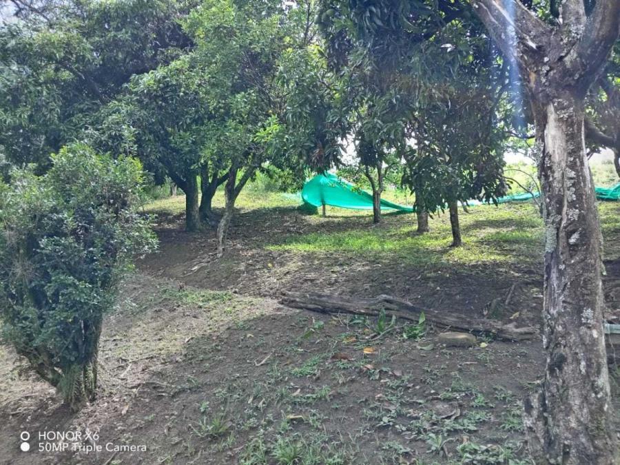 Foto Lote en Venta en Belencito, Medellín, Antioquia - $ 46.000.000 - LOV211262 - BienesOnLine