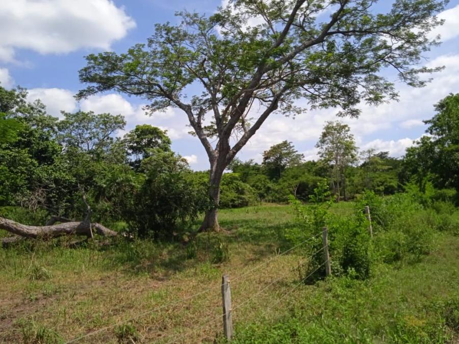 Foto Finca en Venta en Fundación, Magdalena - $ 1.500.000.000 - FIV205212 - BienesOnLine