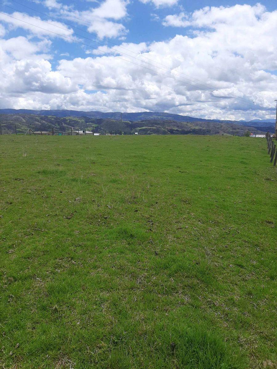 Foto Lote en Venta en tota boyaca, Sogamoso, Boyacá - $ 54.999.999 - LOV211770 - BienesOnLine