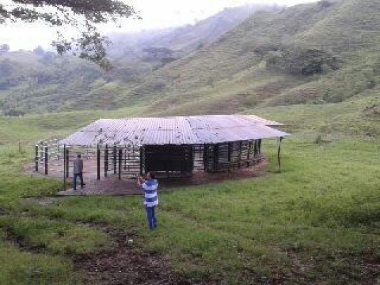 Foto Finca en Venta en , Valle del Cauca - $ 8.000.000 - FIV117209 - BienesOnLine