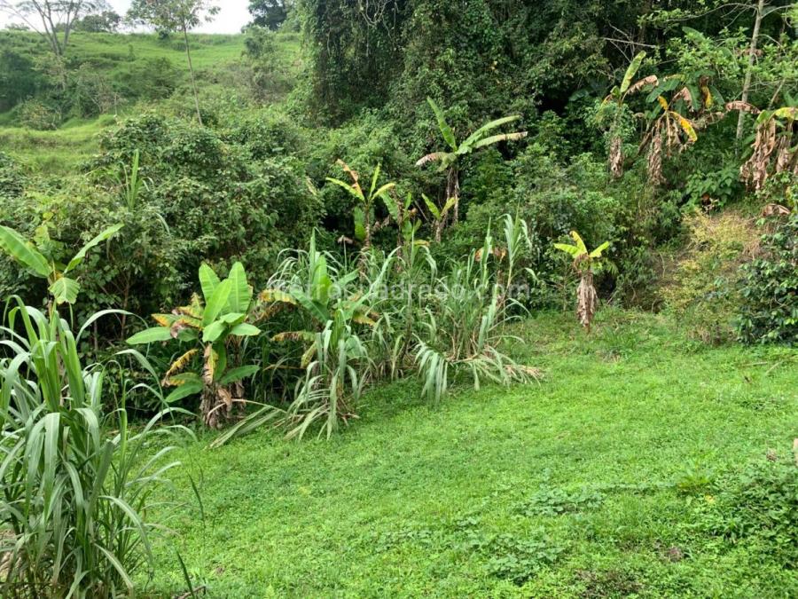 Foto Finca en Venta en Tena, Tena, Cundinamarca - $ 500.000.000 - FIV210917 - BienesOnLine