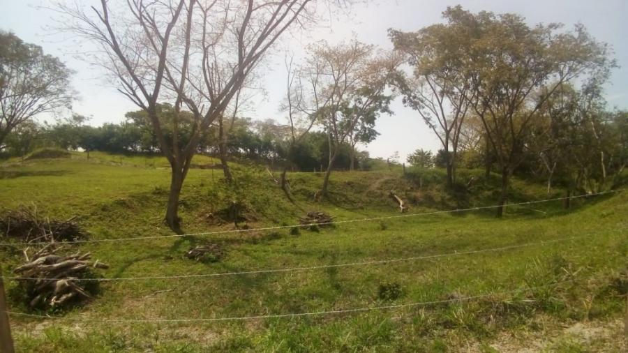 Foto Lote en Venta en SAN LUIS, SAN LUIS, Tolima - $ 62.000.000 - LOV173064 - BienesOnLine