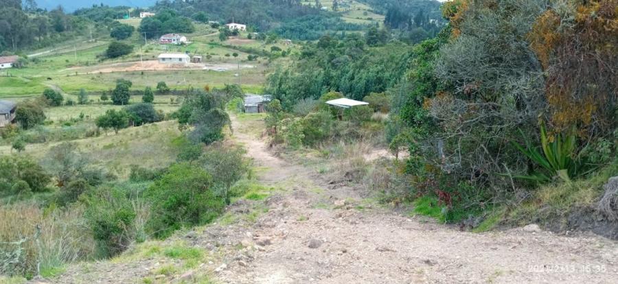 Foto Lote en Venta en Vereda La Isla, Cundinamarca - $ 120.000.000 - LOV210604 - BienesOnLine