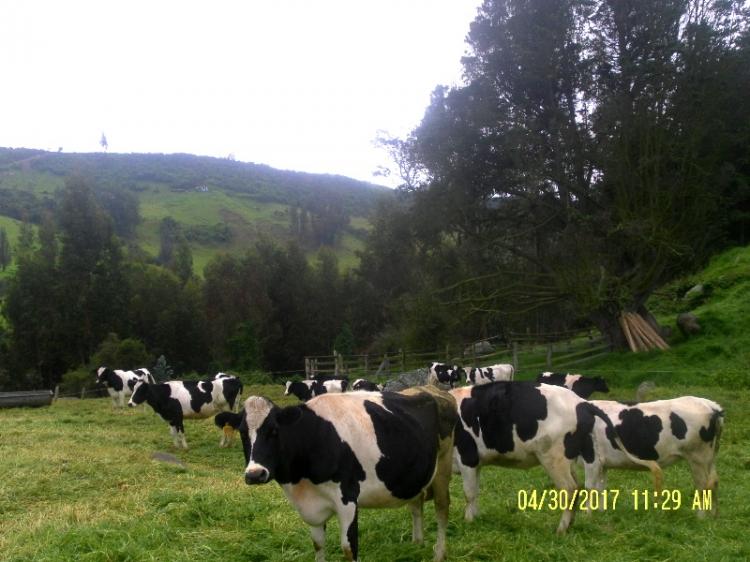 Se vende o permuta finca equipada para ganederia y avicultura