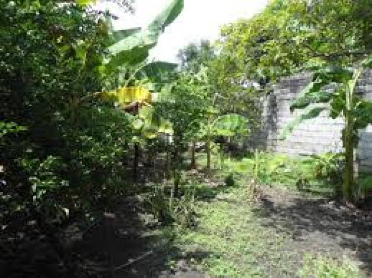 Foto Lote en Venta en Martin Lutero, Honda, Tolima - $ 20.000.000 - LOV62110 - BienesOnLine