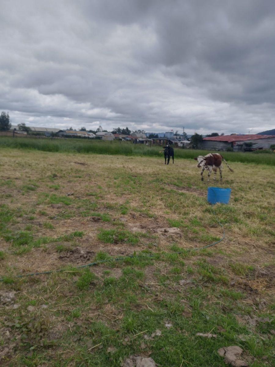 Lote en Venta en gachancipa Zipaquirá, Cundinamarca