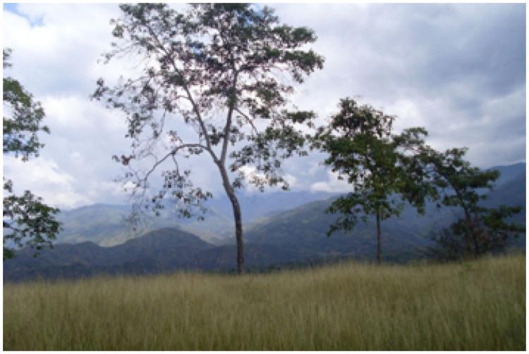 Parcelacion El Rodeo en Sopetran, Antioquia